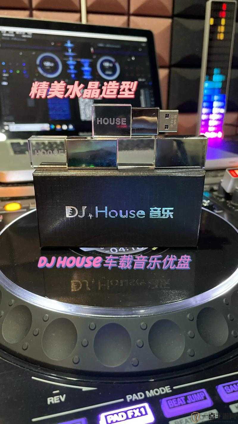 我的姐妹和她的麦子 DJ：一起舞动的旋律